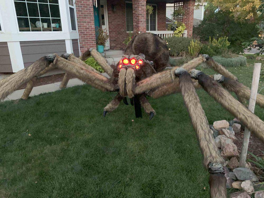 potret dekorasi laba-laba untuk Halloween (reddit.com/user/Turknor)