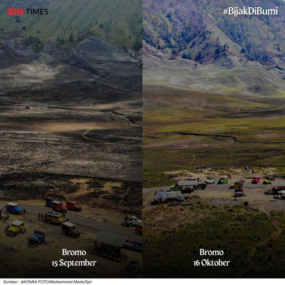 Perbandingan Gunung Bromo setelah kebakaran dan setelah mulai menghijau. (Antara Foto/Muhammad Mada)