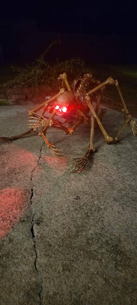 potret dekorasi laba-laba untuk Halloween (reddit.com/user/Stabbing_in_the_Dark)