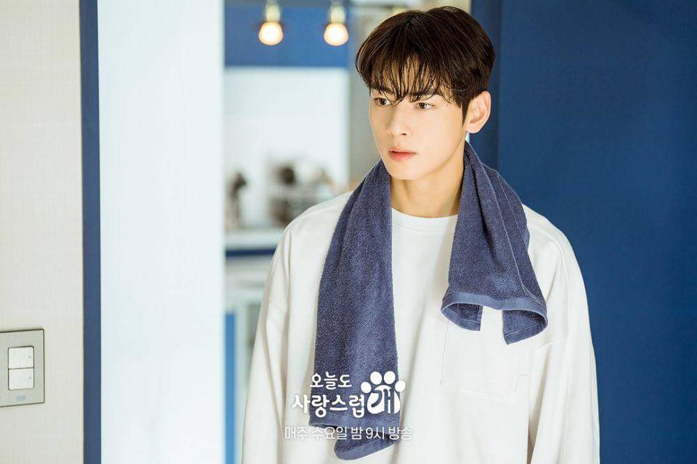 Cha Eun Woo dalam drama A Good Day to Be a Dog (dok. MBC/A Good Day to Be a Dog)