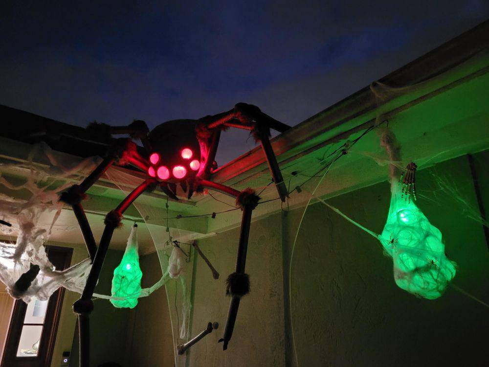 potret dekorasi laba-laba untuk Halloween (reddit.com/user/PeteyPoo4631)