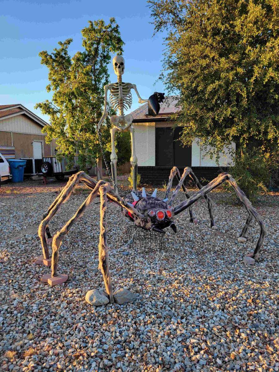 potret dekorasi laba-laba untuk Halloween (reddit.com/user/lazybusinessman)