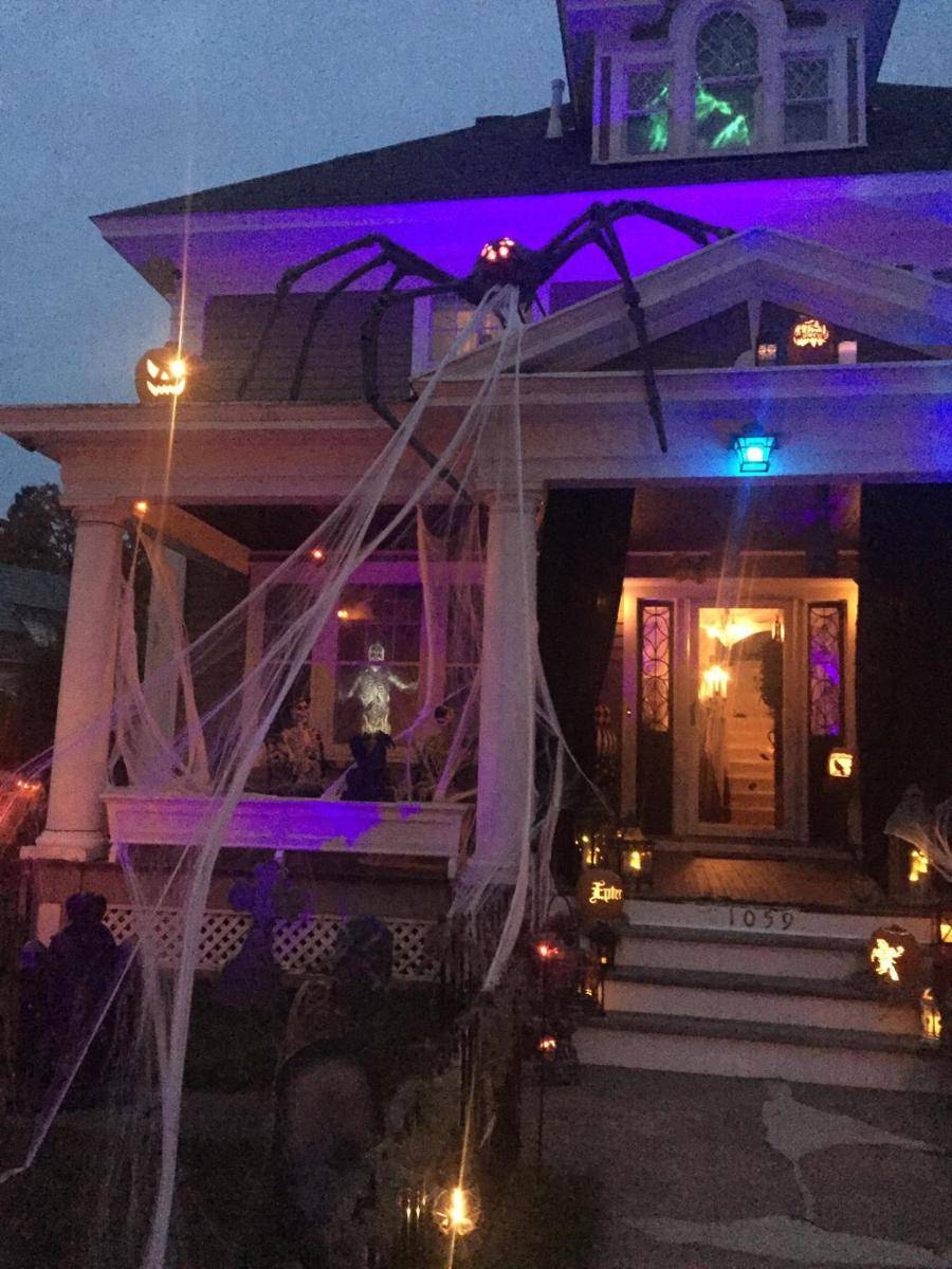 potret dekorasi laba-laba untuk Halloween (reddit.com/user/dirtypoololdman)