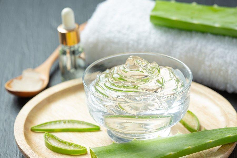 7 Cara Membuat Masker Lidah Buaya untuk Memutihkan Wajah