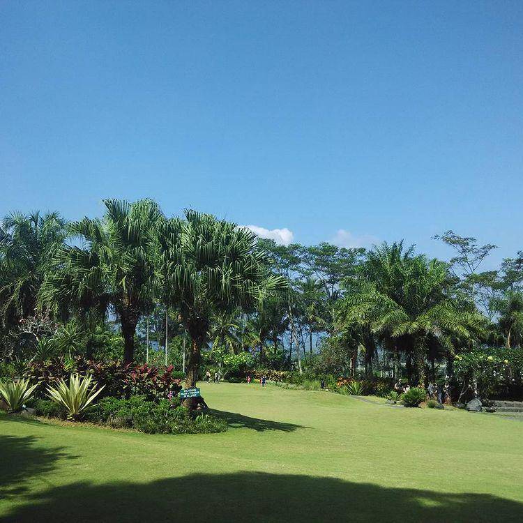 Pemandangan dari Gua Maria Kerep (instagram.com/irena_sierra)