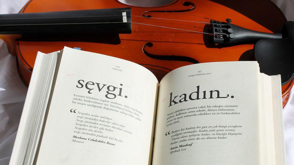 5 Rekomendasi Novel dengan Karakter Violinis