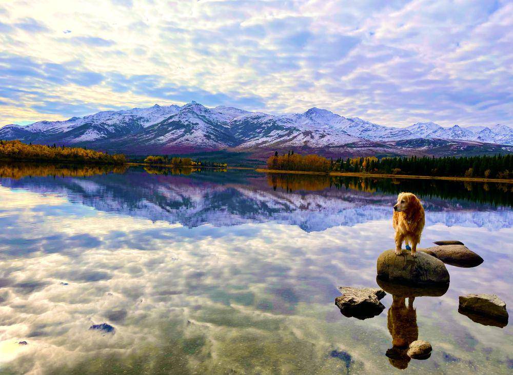 ilustrasi Alaska (unsplash.com/@sullydog123)