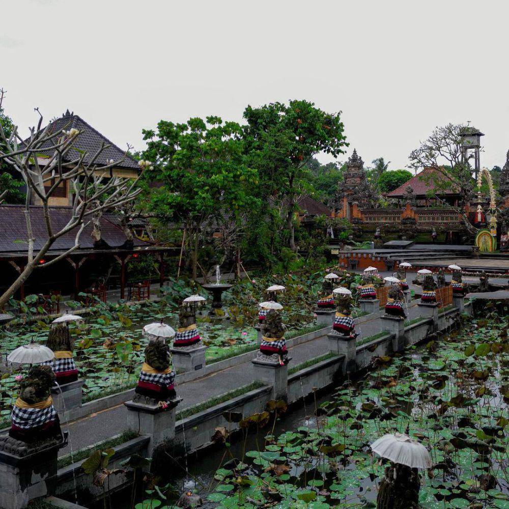 Kolam teratai di area depan Pura Taman Saraswati (Instagram.com/@ubudwaterpalace)