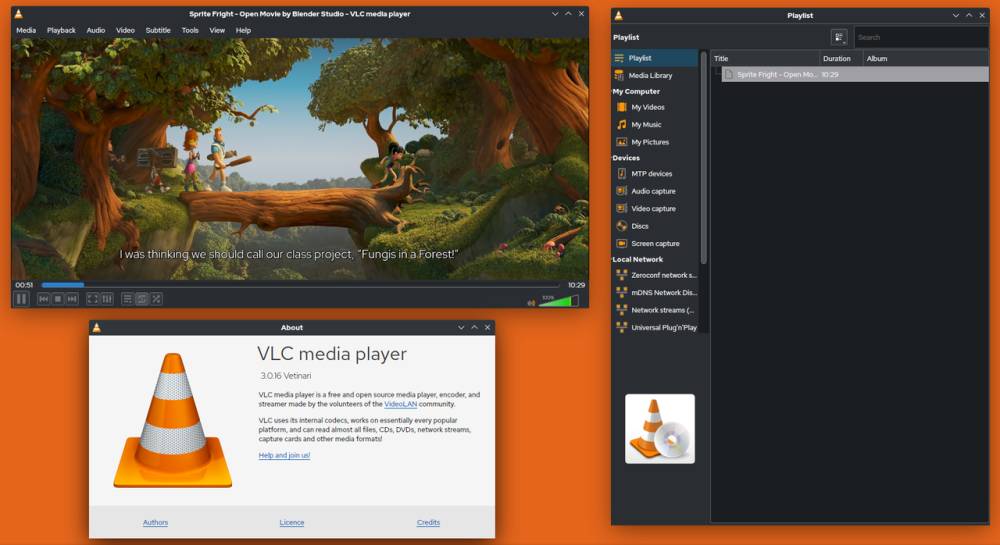 VLC media player (commons.wikimedia.org/VulcanSphere)