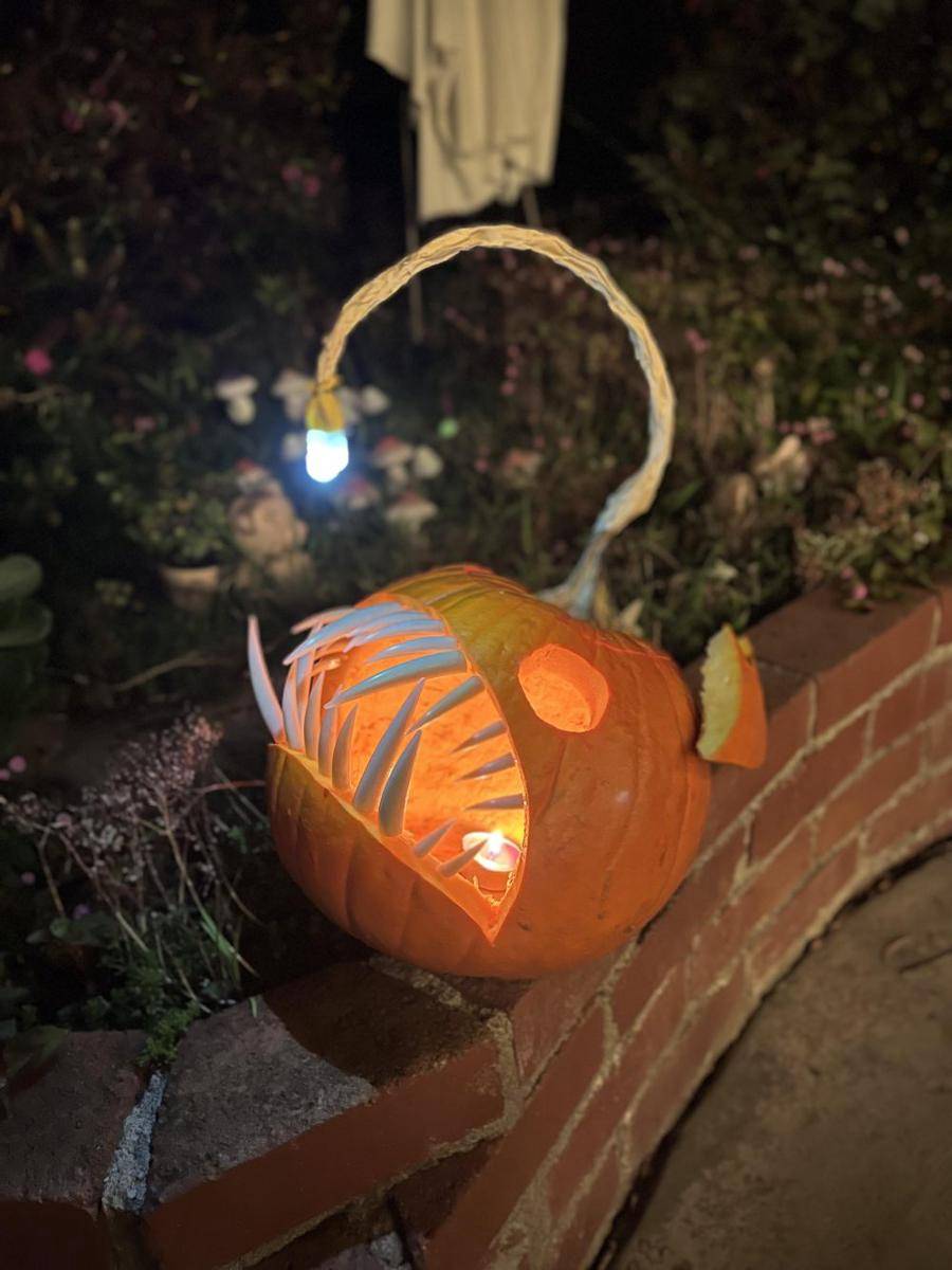 potret dekorasi labu Halloween nyentrik (reddit.com/user/JillyDolls)