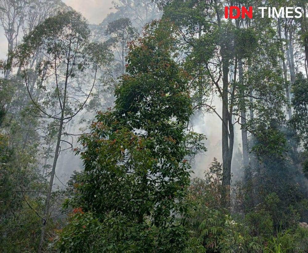 Hingga Sore, Karhutla di Jalan Perbatasan Jatim-Jateng Belum Padam