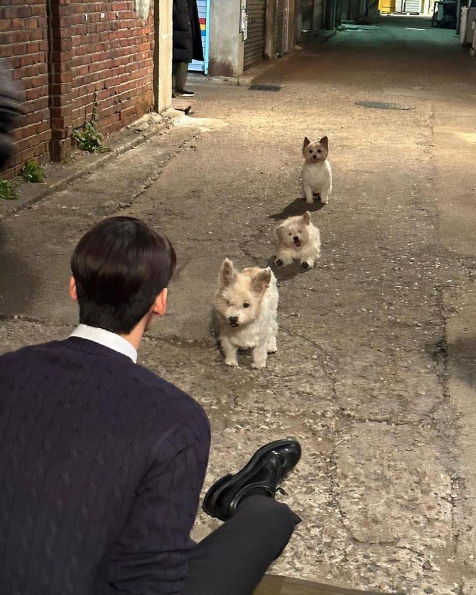 Cha Eun Woo di balik layar drama A Good Day to be a Dog (instagram.com/eunwo.o_c)