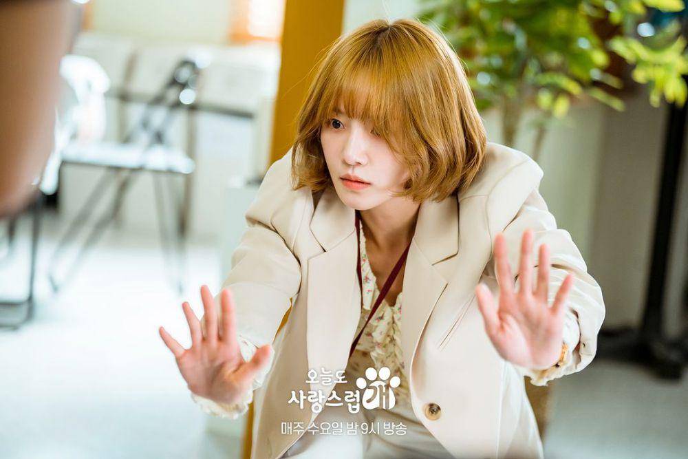 Still cut drama A Good Day to be a Dog (instagram.com/mbcdrama_now)