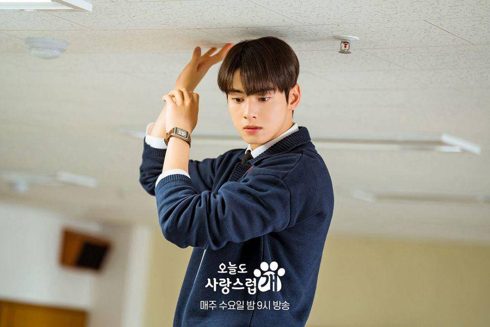 Still cut drama A Good Day to be a Dog (instagram.com/mbcdrama_now)