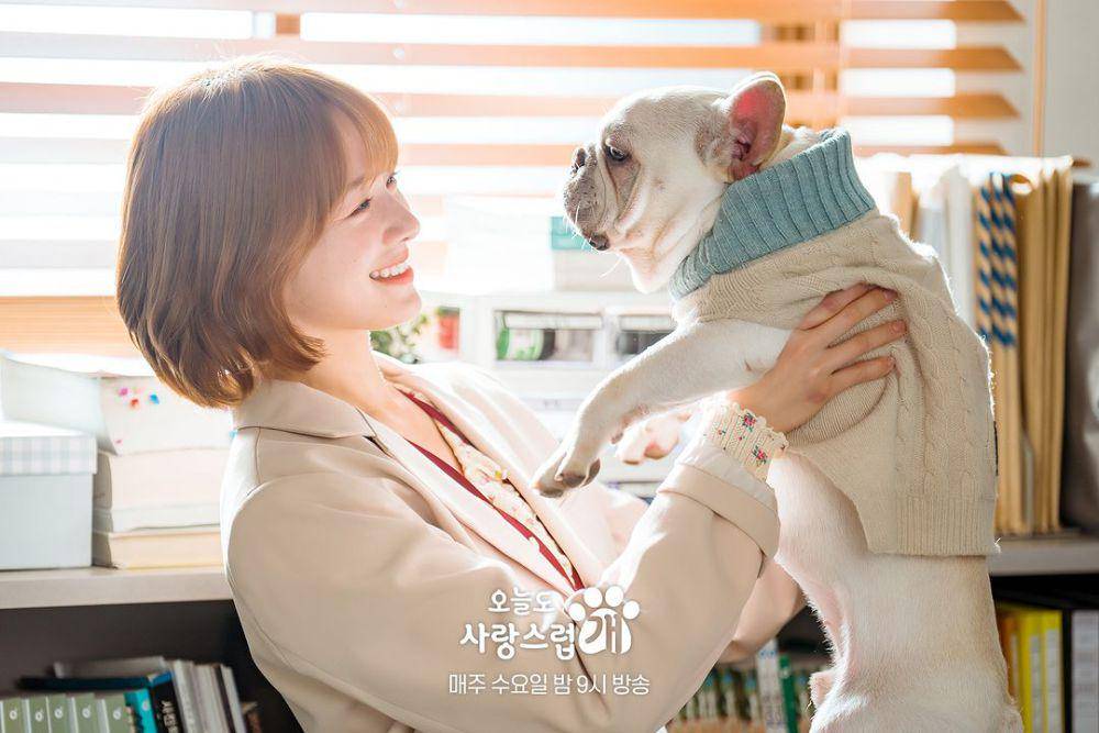 Still cut drama A Good Day to be a Dog (instagram.com/mbcdrama_now)