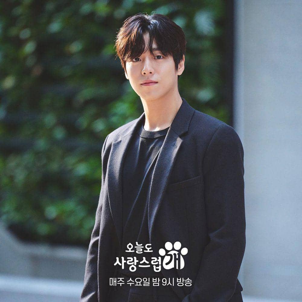 still cuts drama A Good Day to Be a Dog (instagram.com/mbcdrama_now)