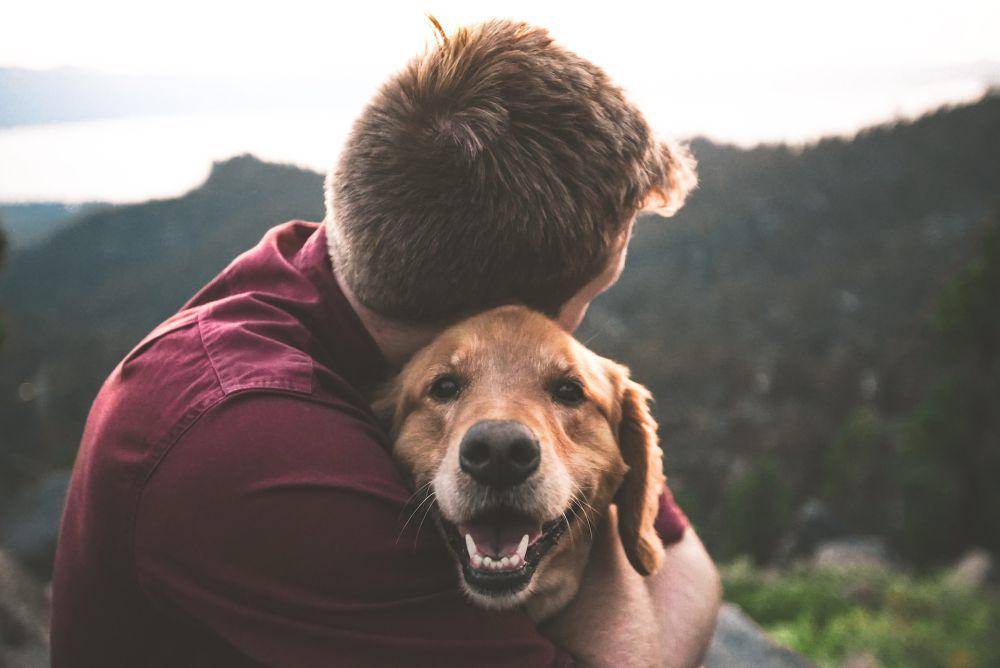 Ilustrasi manusia dan anjing saling berpelukan dan menyayangi satu sama lain (unsplash.com/Eric Ward)