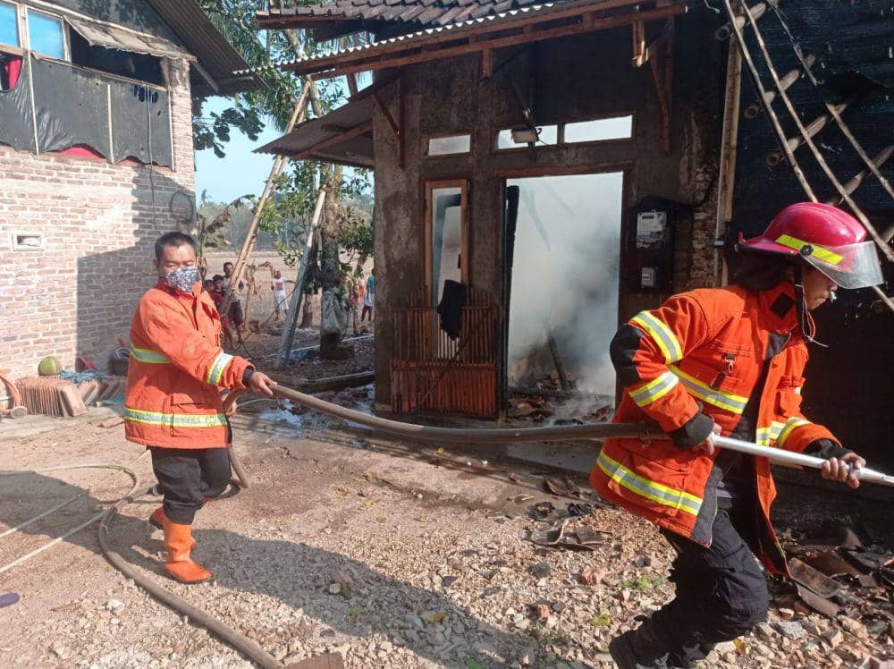 Kandang ayam di Pekon Pandansari Selatan, Kecamatan Sukoharjo, Kabupaten Pringsewu ludes terbakar, Minggu (22/10/2023). (Dok. Polres Pringsewu).