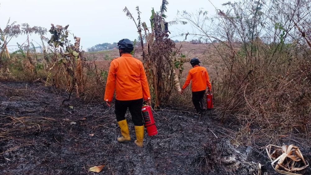 Bakal Ilalang dan Sampah di Semarang Bisa Kena Sanksi Pidana