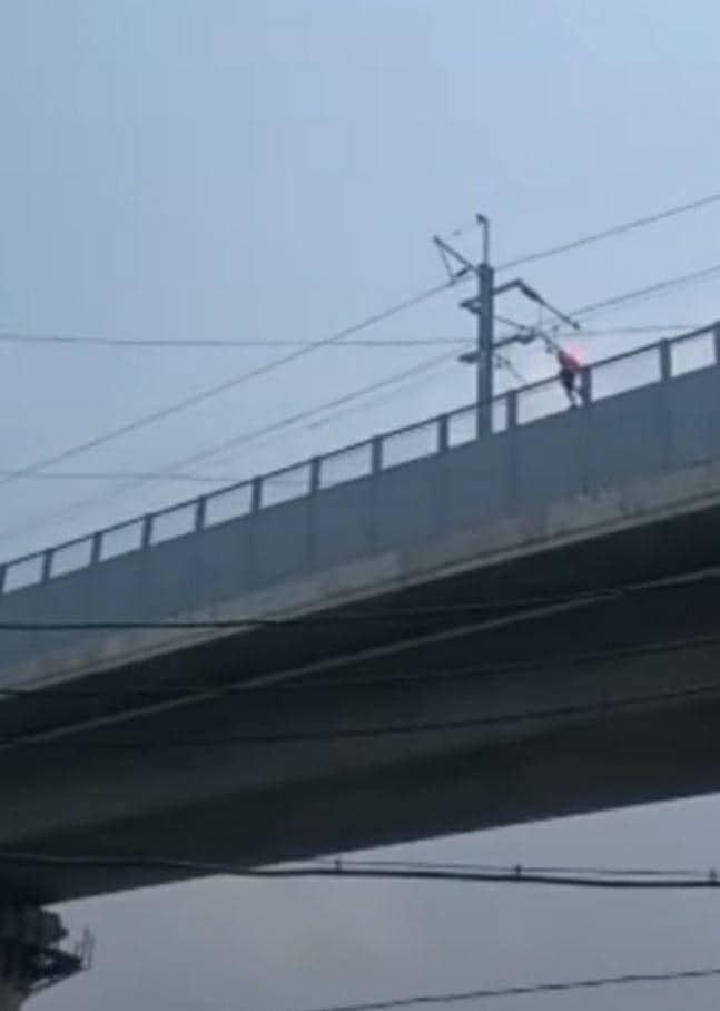 Heboh! Pria di KBB Coba Bunuh Diri dari Trase Kereta Cepat Whoosh