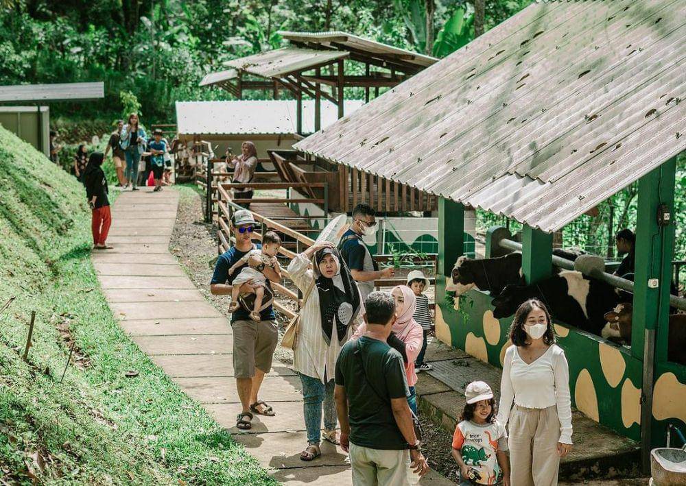 Boemisora (instagram.com/boemisora)