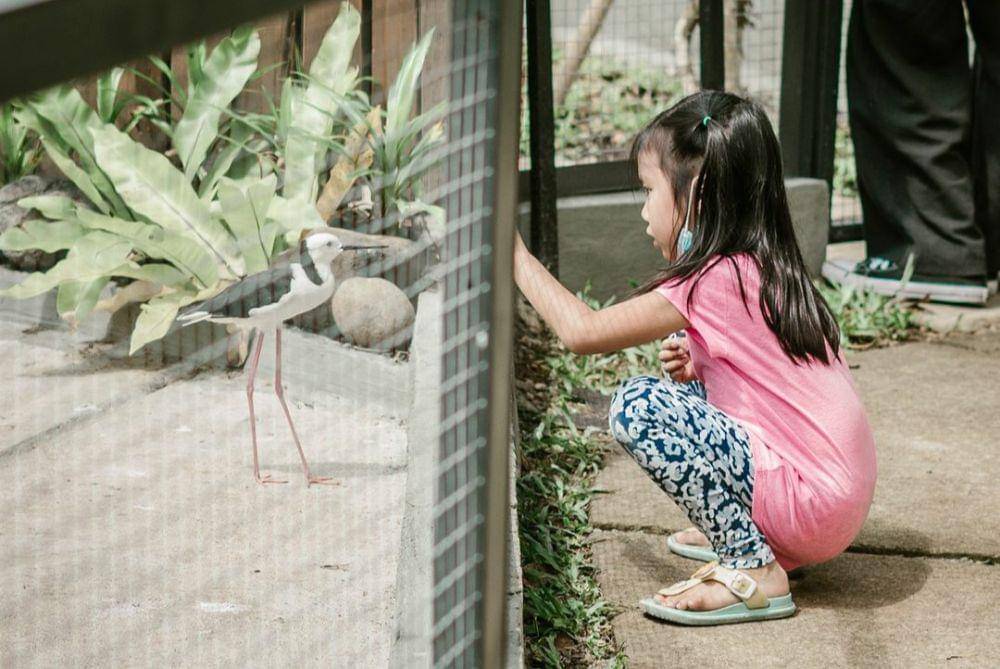 Boemisora (instagram.com/boemisora)