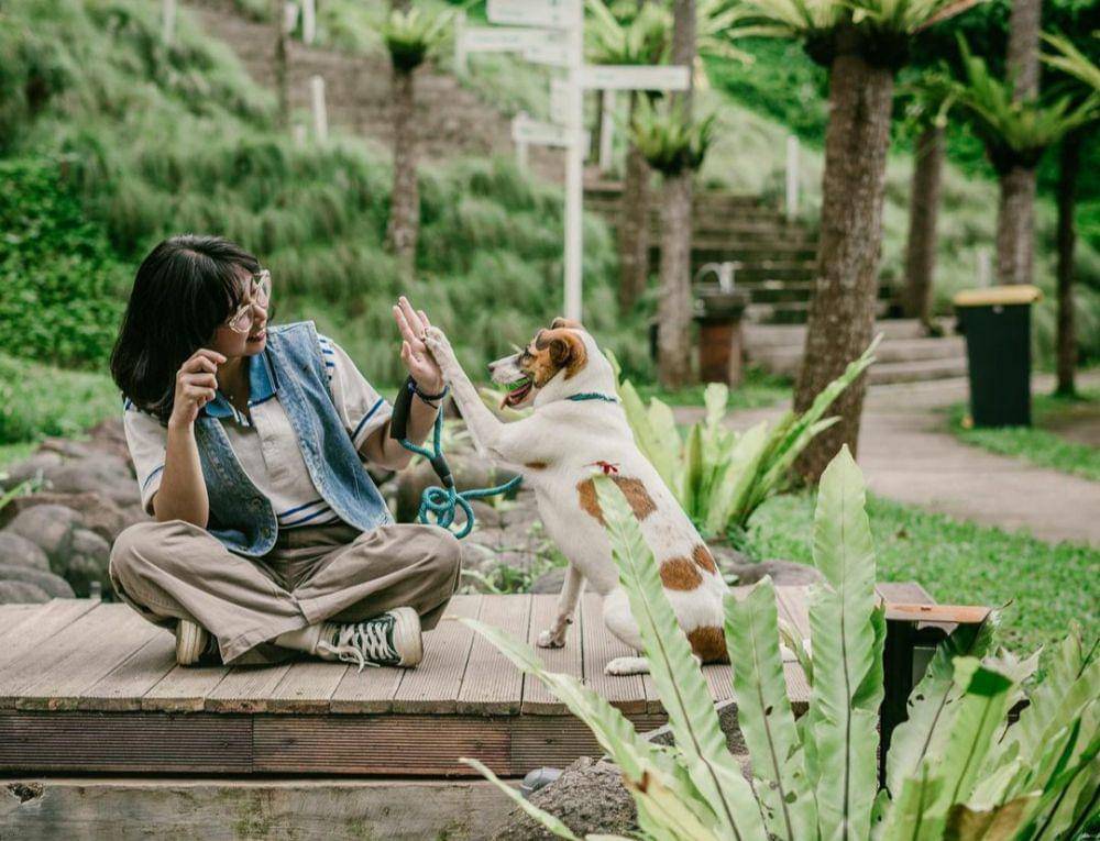 Boemisora (instagram.com/boemisora)