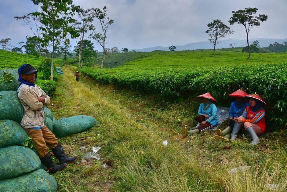 Photo by Tatag Wicaksono from Pexels