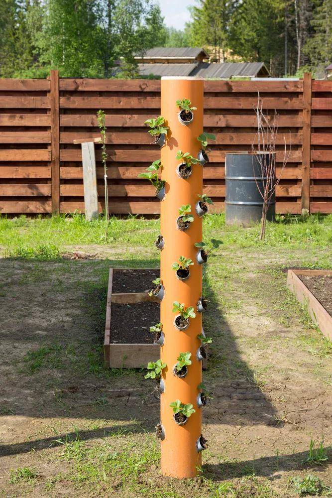 ilustrasi vertical garden dari pipa PVC (ruralsprout.com/Elizabeth Waddington)