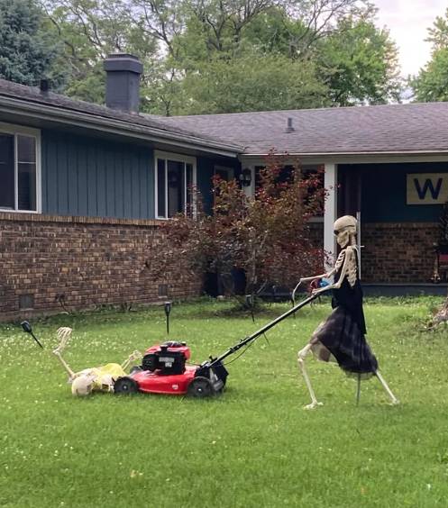 potret kocak halaman belakang tetangga (reddit.com/TheSpiderClaw)