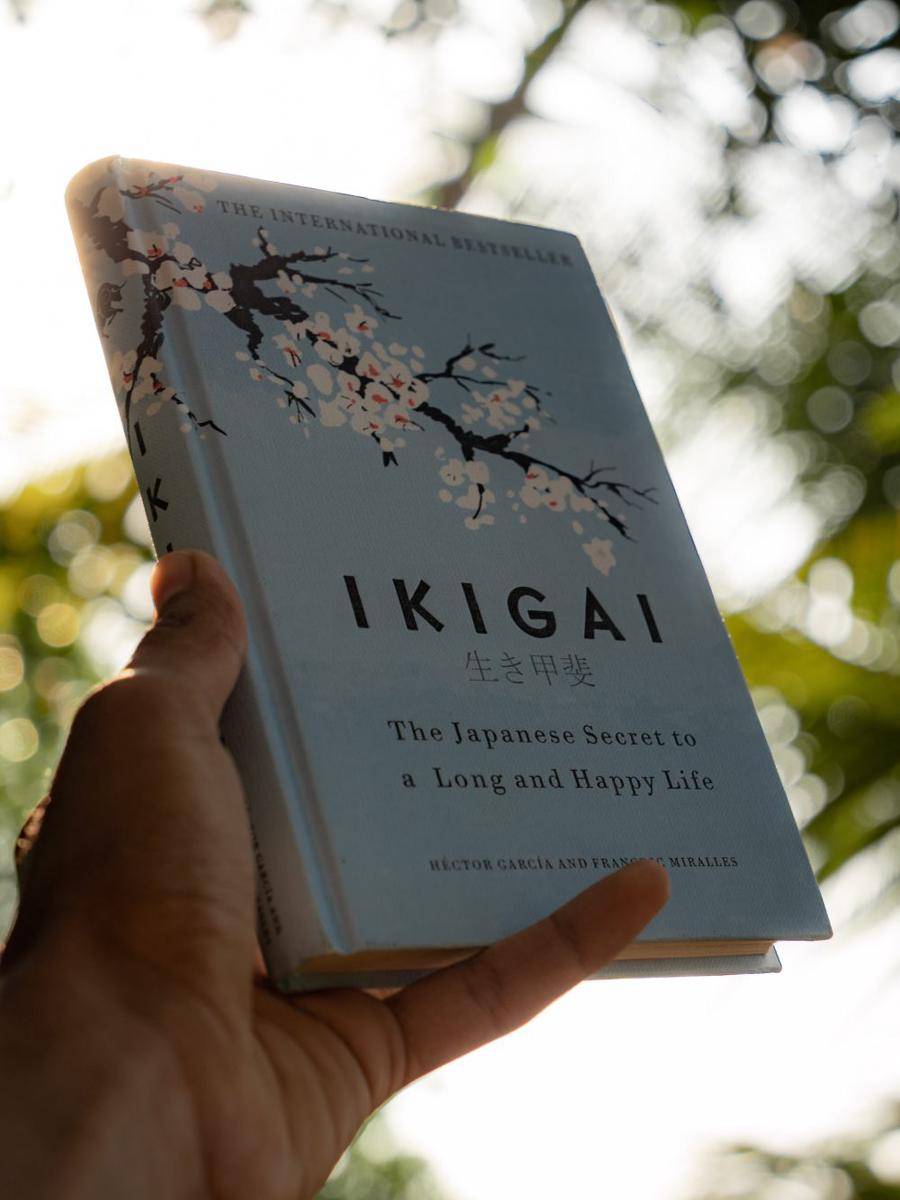 ilustrasi buku Ikigai (unsplash.com/Shreesha bhat)