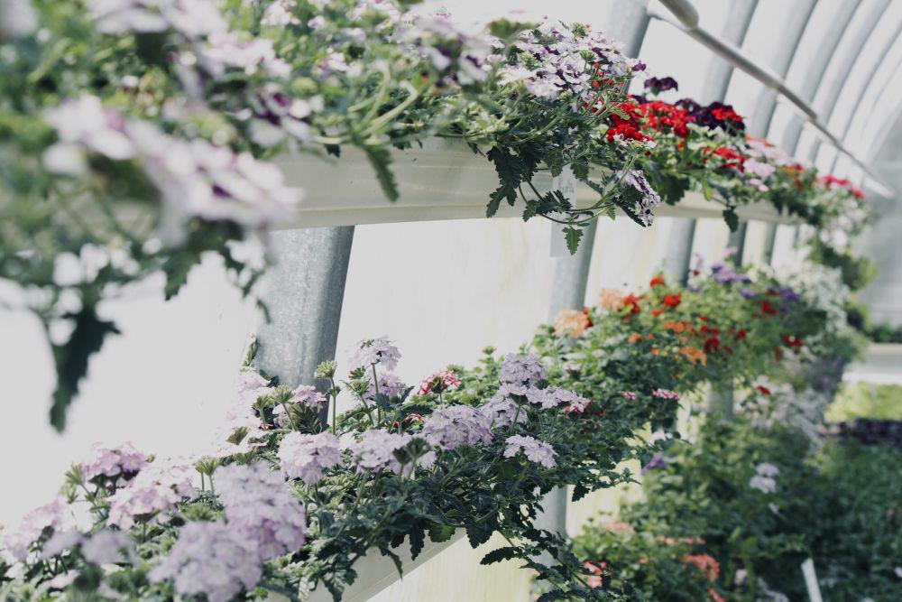 8 Inspirasi Vertical Garden dari Pipa PVC, Bikin Rumah Lebih Cantik!