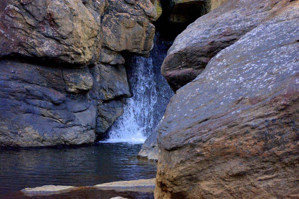 Potret Coorg, India (pixabay.com/nehaparti95)
