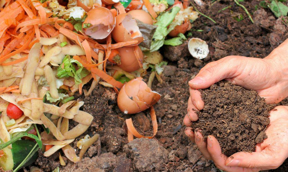 5 Tips Pengolahan Sampah Organik, sesuaikan dengan Kebutuhanmu