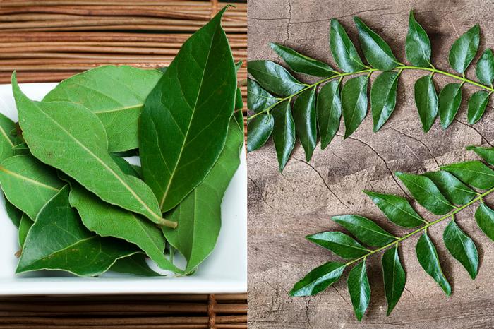 [QUIZ] Yakin Kamu Tahu Perbedaan Daun Salam dan Daun Kari Ini?