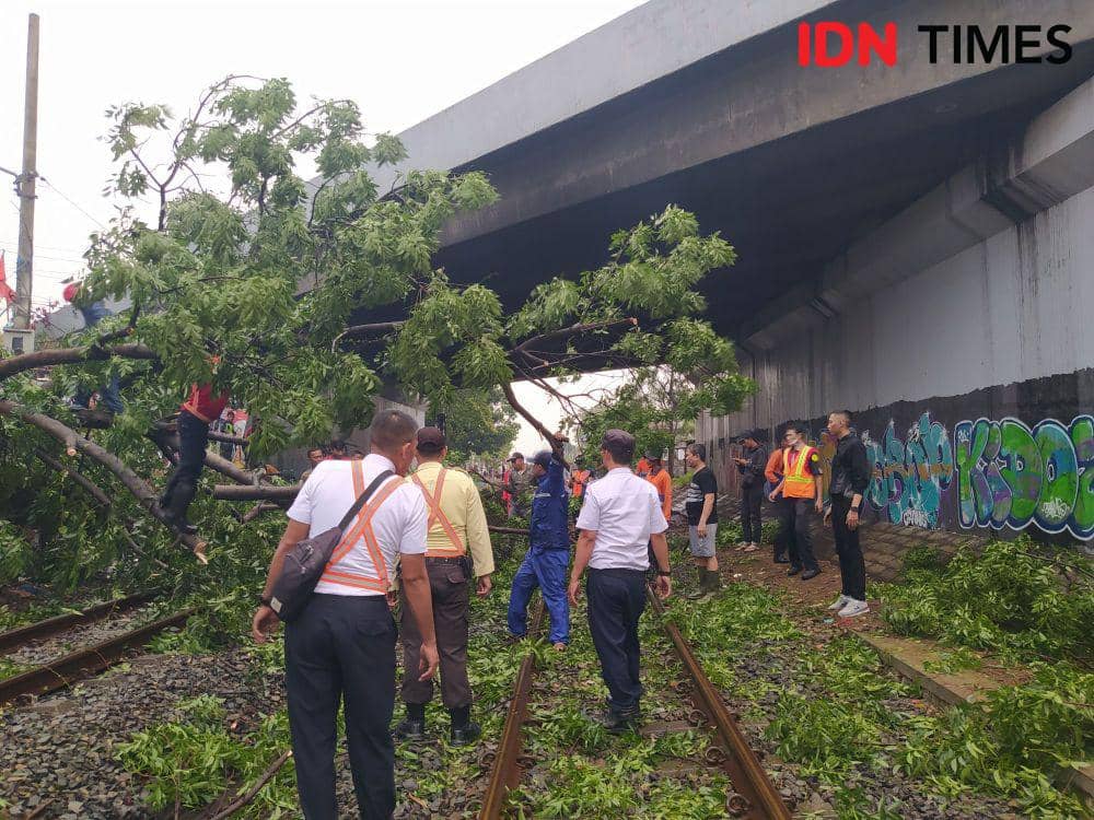 Hujan Deras, Pohon Tumbang Tutup Rel Kereta Api Jalur Cimindi - Cimahi