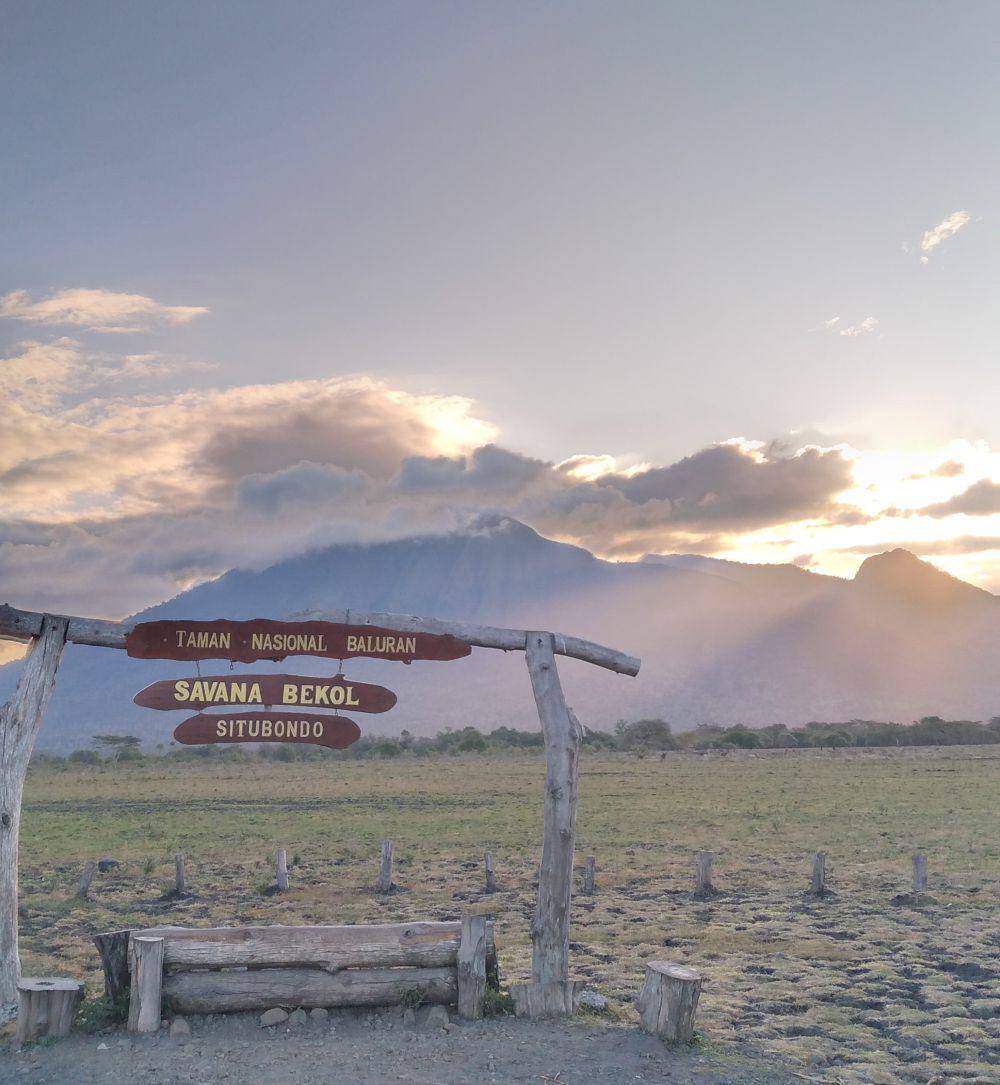 Taman Nasional Baluran (dok. pribadi/Oktavia Isanur Maghfiroh)