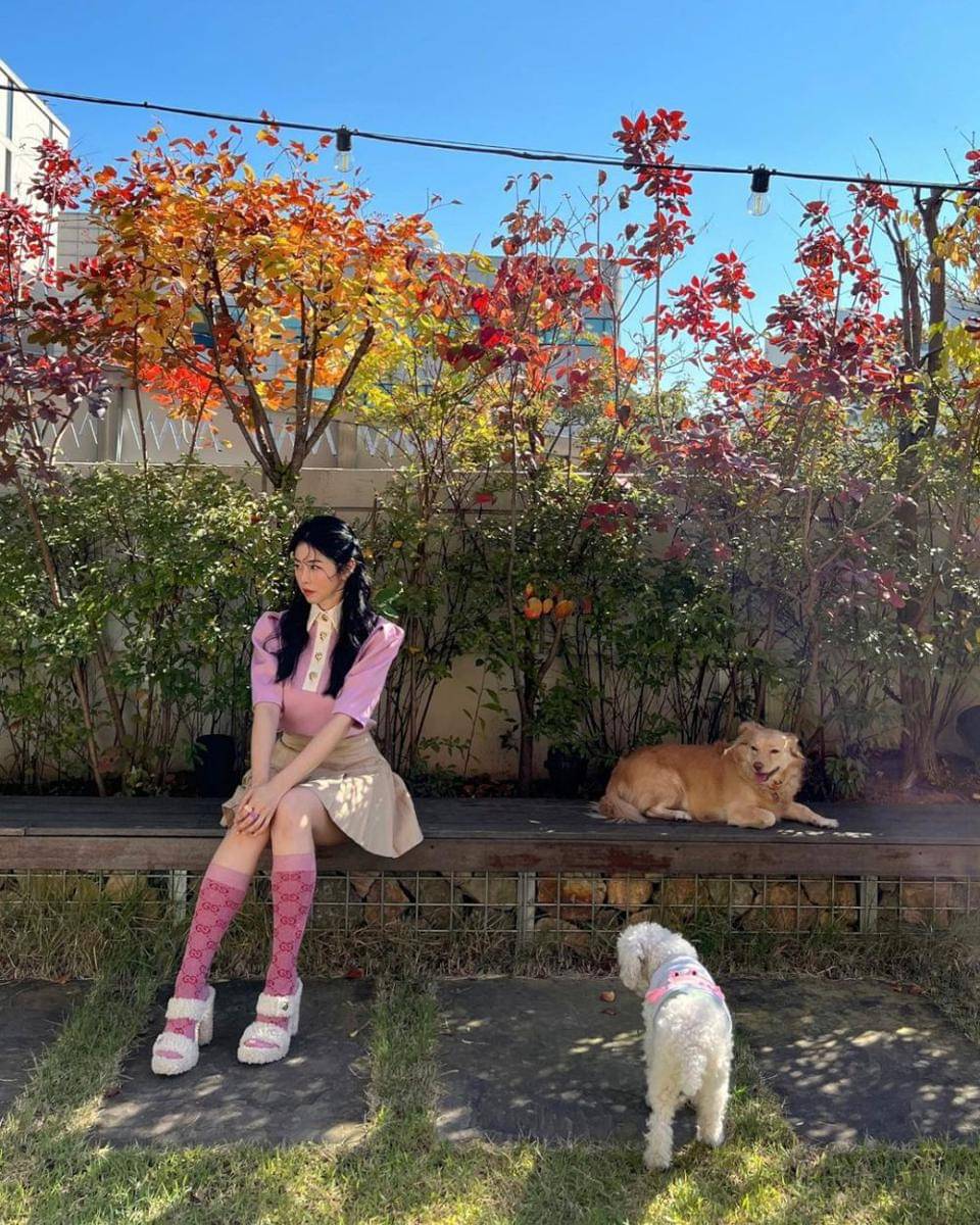 Seo Dong Joo (instagram.com/danielles38)