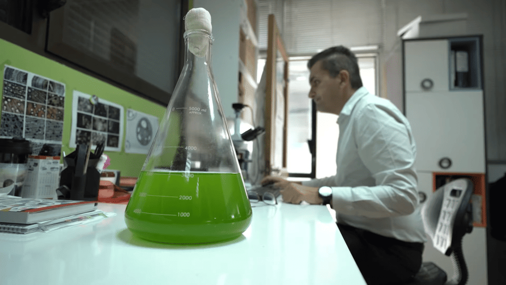 potret ilmuwan meneliti Liquid Tree (youtube.com/UNDPSerbia)