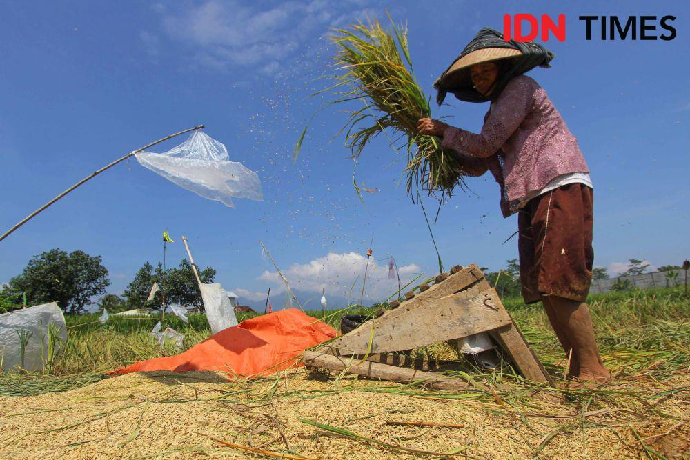 Apa Itu Petani Gurem? Ramai Dibicarakan saat Debat Cawapres 2024