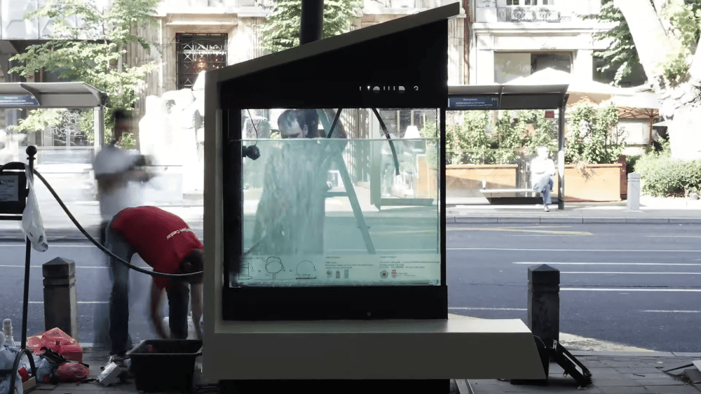 potret instalasi fotobioreaktor (youtube.com/UNDPSerbia)