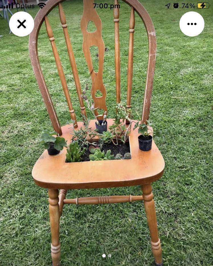 potret tempat gak biasa untuk menanam kaktus (reddit.com/user/Mystic-Twilight)