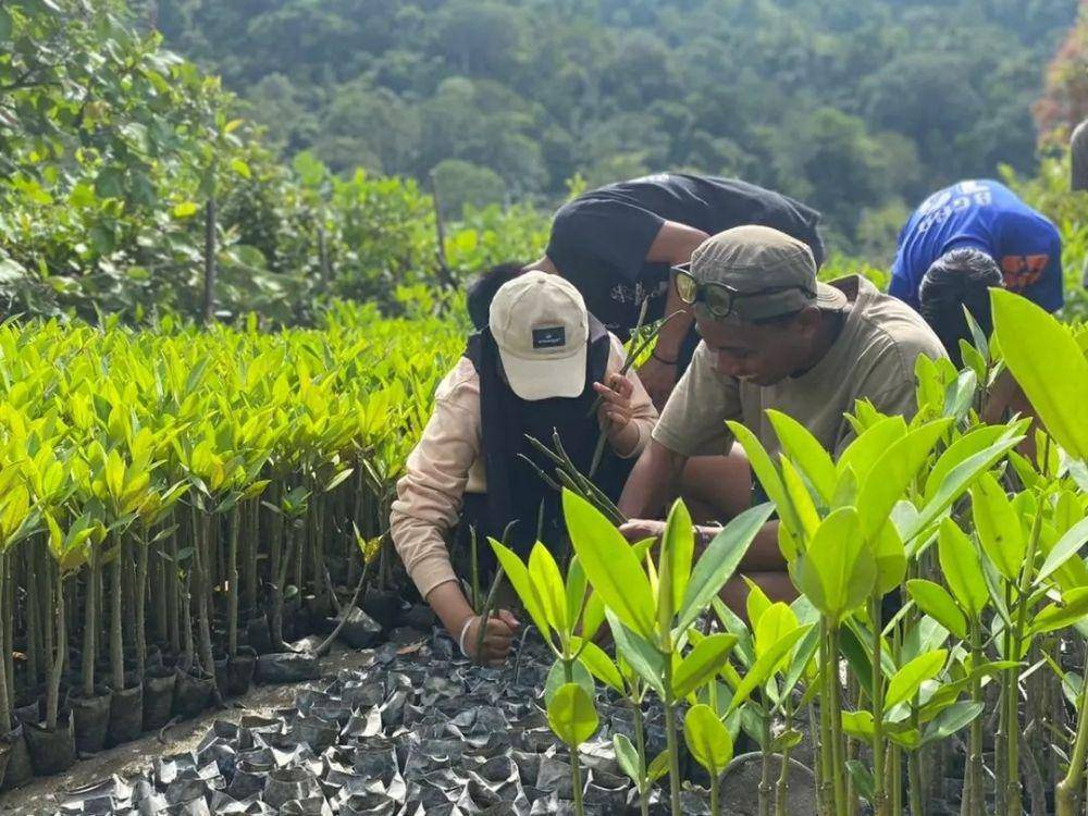 pembibitan mangrove di Sungai Pinang (instagram.com/andespindeepwestsumatera)