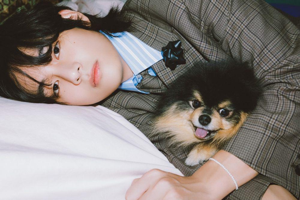 Kronologi Stalker Menguntit dan Meminta V BTS Menikahinya