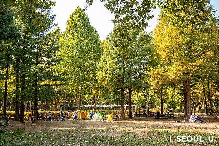 Potret Yangjae Citizen's Forest di Seoul (english.seoul.go.kr)