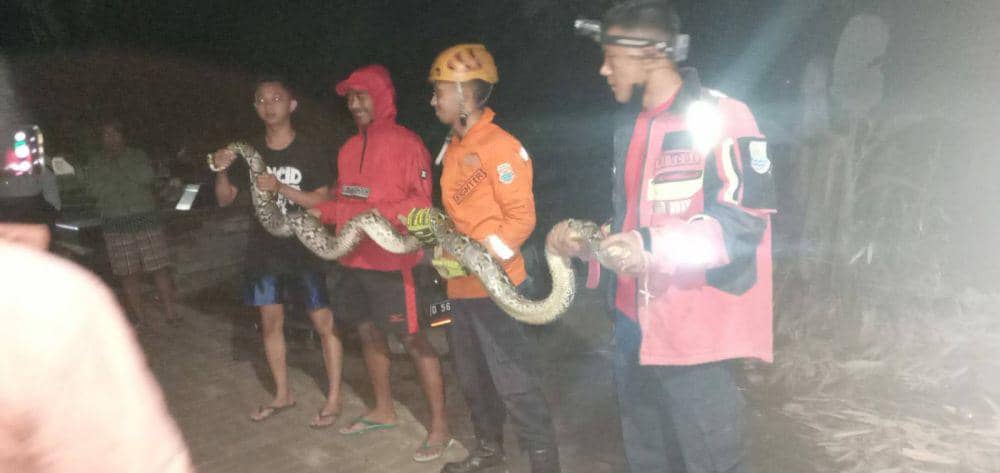 (Dok/Damkar Kota Cimahi)