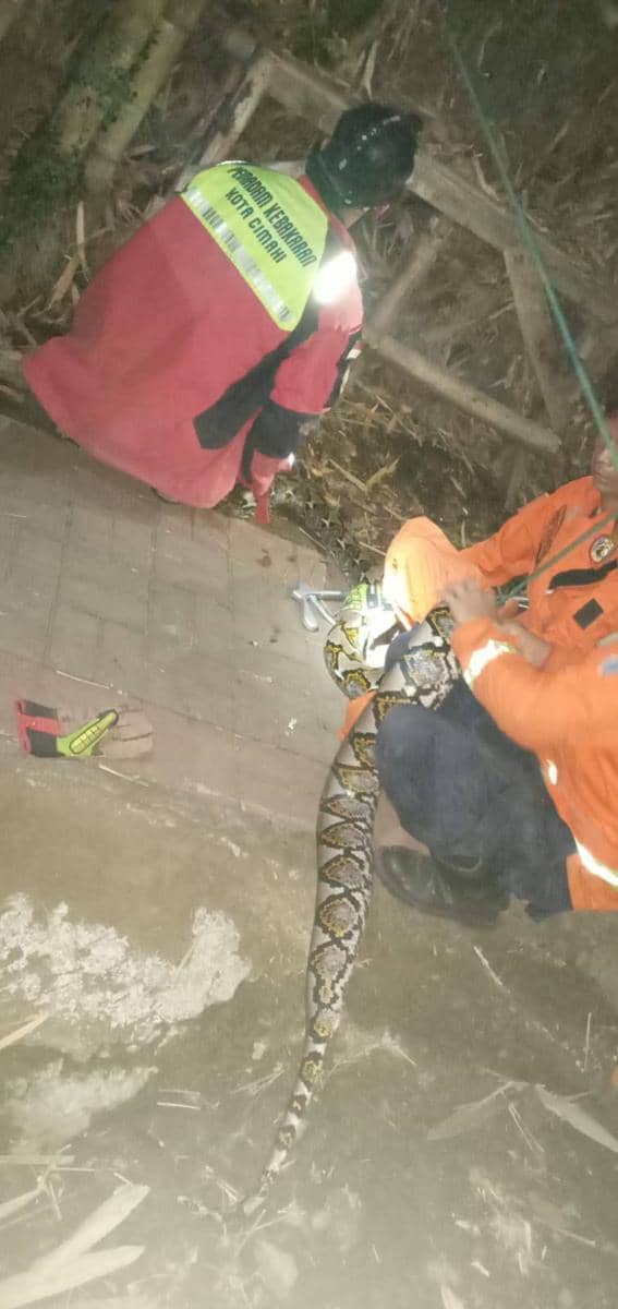 (Dok/Damkar Kota Cimahi)