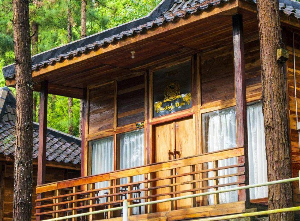 Guci Forest(instagram.com/guciforest_)