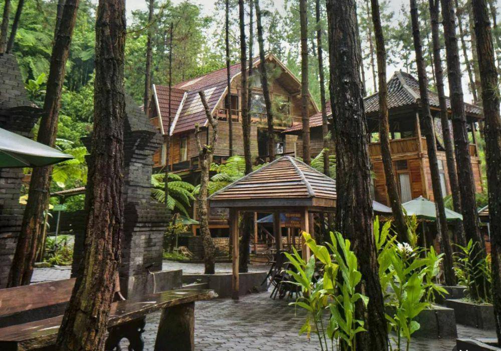 Guci Forest(instagram.com/guciforest_)