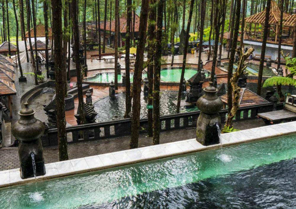Guci Forest(instagram.com/guciforest_)
